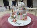 celebration cake  24 