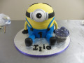 IMG 4381