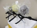 Cake Pops