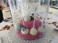 cake_pops_004-381-120-90-100-c