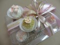 cake_pops_011-388-120-90-100-c