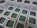 20170313_16h03_35s_DDCC-646-120-90-100-c