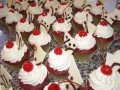 20120320_15h55_24s_DDCC-625-120-90-100-c
