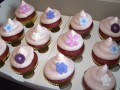 20120329_14h42_46s_DDCC-627-120-90-100-c