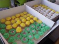 20170718_10h26_30s_DDCC-677-120-90-100-c