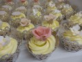 IMG_9719-690-120-90-100-c