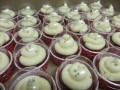 SCC16-227-120-90-100-c