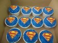SCC15-226-120-90-100-c
