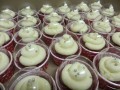 SCC16-227-120-90-100-c