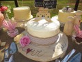 IMG_8770-391-120-90-100-c