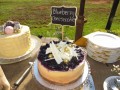 IMG_8774-395-120-90-100-c