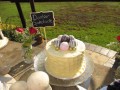 IMG_8784-398-120-90-100-c