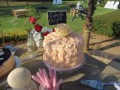 IMG_8782-397-120-90-100-c