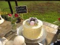 IMG_8784-398-120-90-100-c
