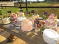 IMG_8790-400-120-90-100-c
