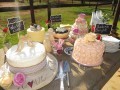 IMG_8791-401-120-90-100-c