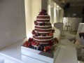 IMG_9042-406-120-90-100-c