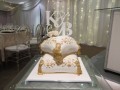 IMG_9311-408-120-90-100-c