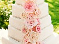 wedding_cake_012-185-120-90-100-c